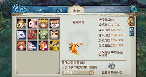 诛仙手游宠物怎么算好