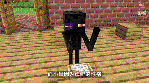 我的世界小黑是什么[图2]