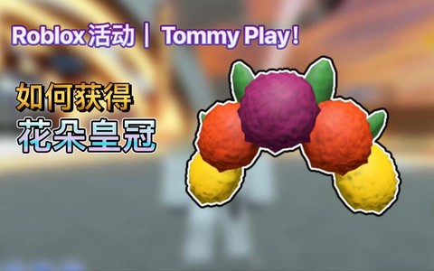 宝可梦皇冠如何获得